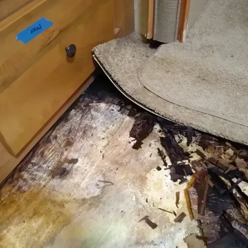 Wood Floor Water Damage in Arlington Heights, IL